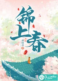 《锦上春》小说封面