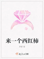 《来一个西红柿》小说封面