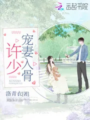 《许少宠妻入骨》小说封面