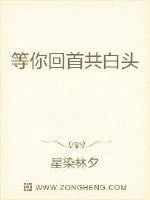 《等你回首共白头》小说封面