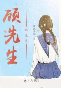 《顾先生的余生》小说封面