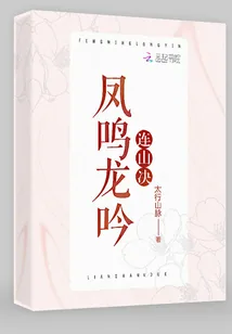 《凤鸣龙吟连山决》小说封面