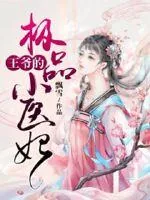 《王爷的极品小医妃》小说封面