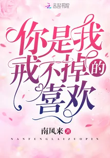 《你是我戒不掉的喜欢》小说封面