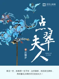 《点翠夫人》小说封面