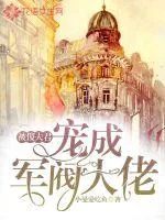 《被傻夫君宠成军阀大佬》小说封面