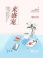 《等你来盛宠》小说封面