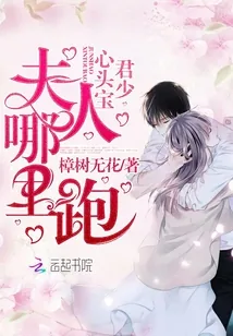 《君少心头宝，夫人哪里跑》小说封面
