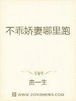 《不乖娇妻哪里跑》小说封面