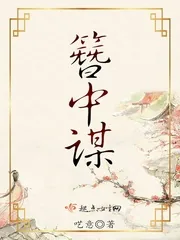 《簪中谋》小说封面