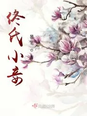 《佟氏小妾》小说封面