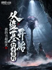 《从盗墓开始打卡签到》小说封面