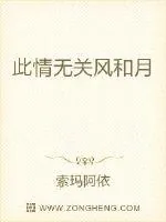 《此情无关风和月》小说封面