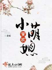 《掌家小萌媳》小说封面