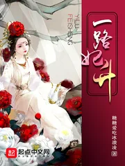 《一路妃升》小说封面