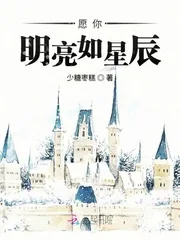 《愿你明亮如星辰》小说封面