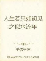 《人生若只如初见之似水流年》小说封面