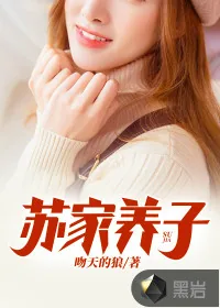 《苏家养子》小说封面