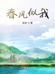 《春风似我》小说封面