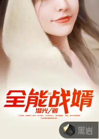 《全能战婿》小说封面