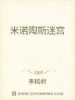 《米诺陶斯迷宫》小说封面