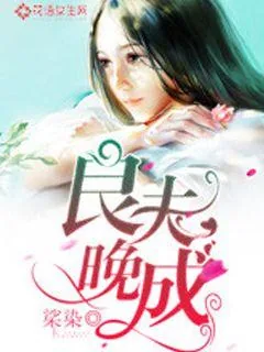 《良夫晚成》小说封面