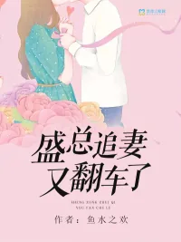 《盛总追妻又翻车了》小说封面