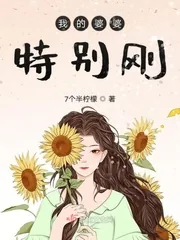 《我的婆婆特别刚》小说封面