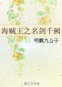 《海贼王之名剑千阙》小说封面