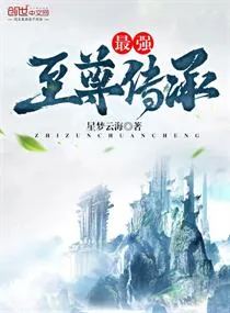 《最强至尊传承》小说封面