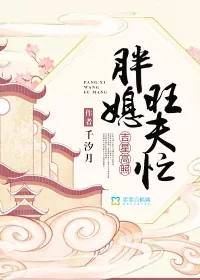 《吉星高照：胖媳旺夫忙》小说封面