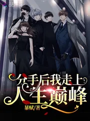 《分手后我走上人生巅峰》小说封面