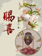 《赐喜》小说封面