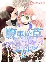 《腹黑校草有点撩》小说封面