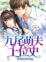 《九尾萌夫上位史》小说封面