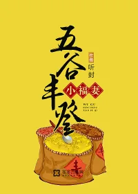 《五谷丰登小福妻》小说封面