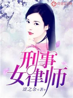 《刑事女律师》小说封面