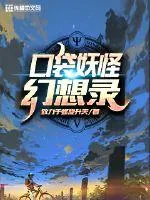 《口袋妖怪幻想录》小说封面
