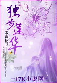 《独步莲华》小说封面