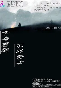 《幸与君遇不胜荣幸》小说封面