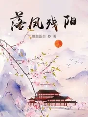 《落凤残阳》小说封面