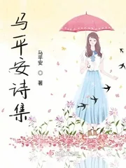 《马平安诗集》小说封面