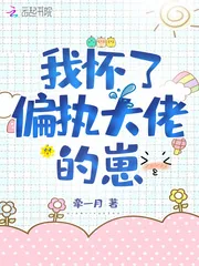 《我怀了偏执大佬的崽》小说封面