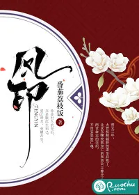 《凤印》小说封面