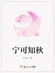 《宁可知秋》小说封面