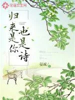《归来是你也是诗》小说封面