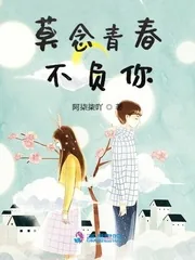 《莫念青春不负你》小说封面