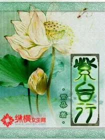 《紫台行》小说封面