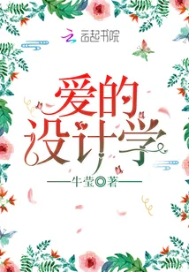 《爱的设计学》小说封面