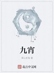 《九天》小说封面